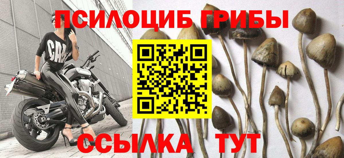 Псилоцибиновые грибы Cubensis  Вход с VPN  Первоуральск  Псилоцибиновые грибы ЛСД 